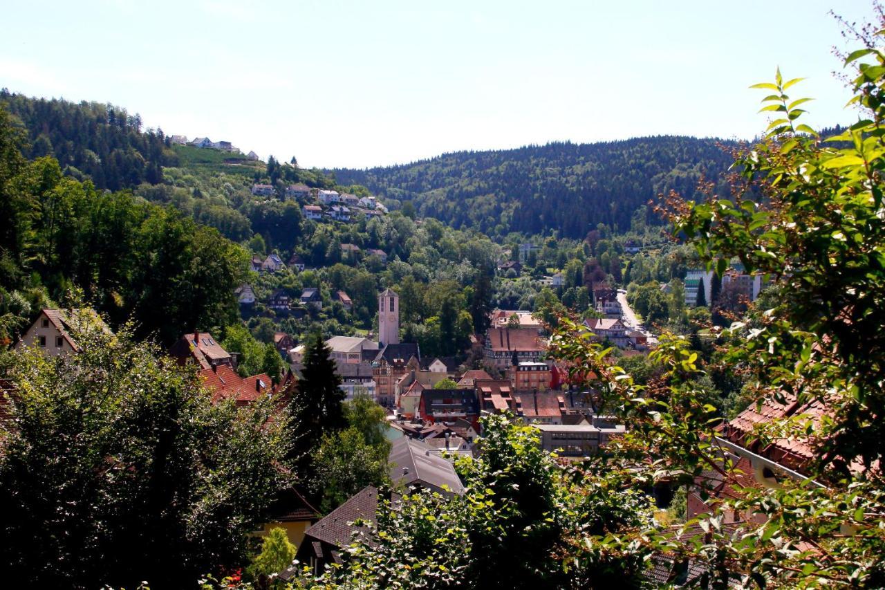 Hotel Cafe Adler Triberg im Schwarzwald Екстер'єр фото